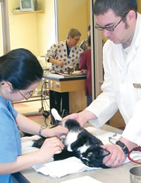 Veterinary Technology Careers