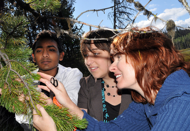 experiential learning