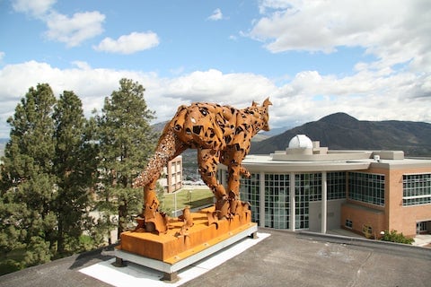 coyote statue atop building at Kamloops campus