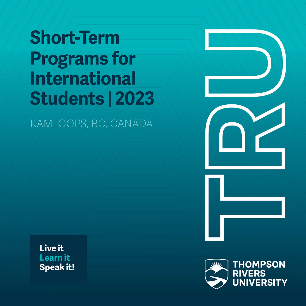 Short-Term Programs for International Students