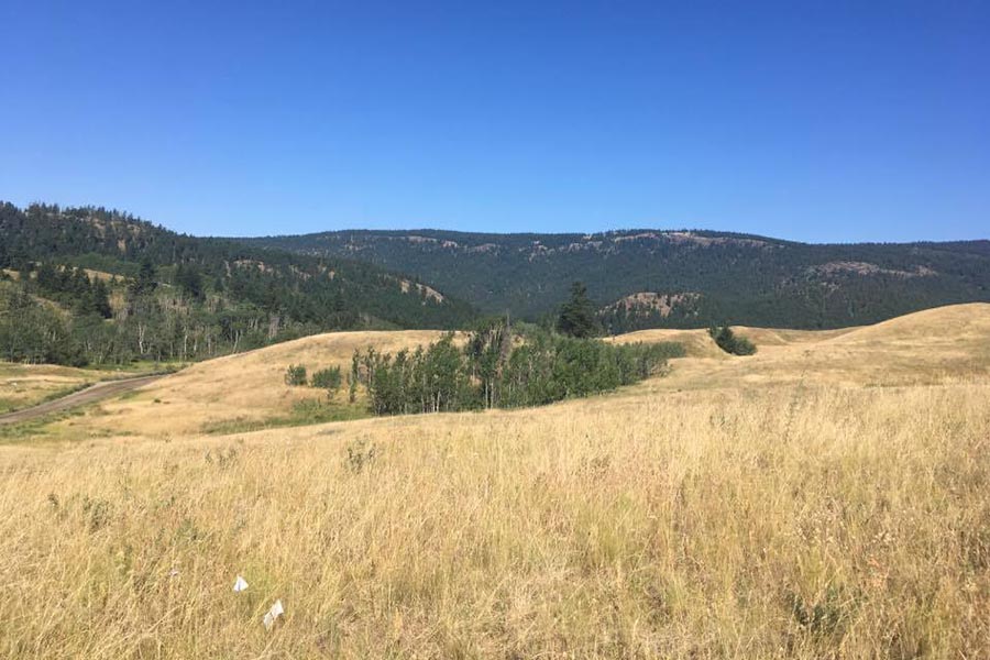 Large pasture located in the Cariboo region
