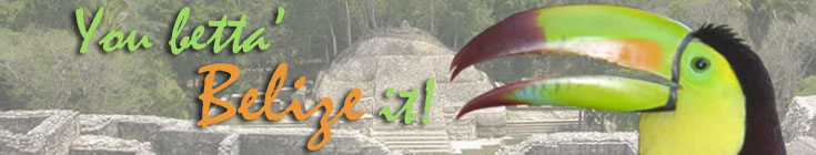 Belize Banner