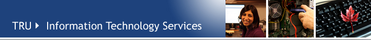 Information Technology Services