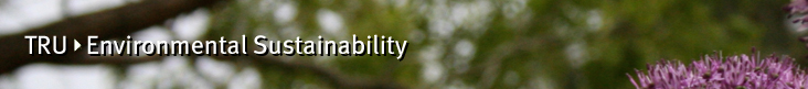 Environmental Sustainability