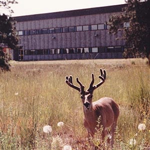 Old Main 1982
