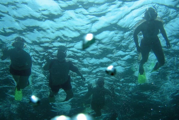 BNRS students scubadiving