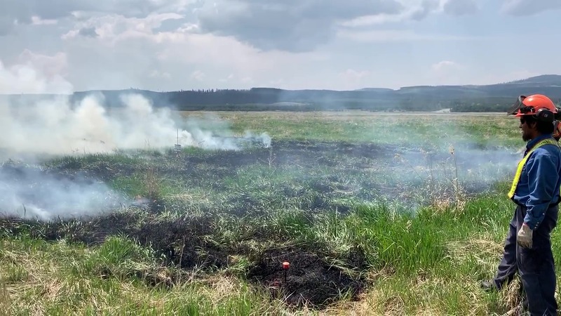 Utilizing Traditional Indigenous Knowledge for Ecosystem Repair