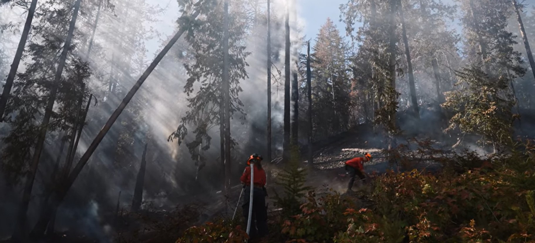 Careers Wildfire