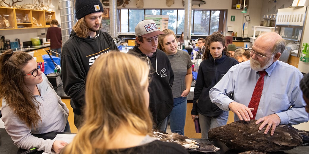 Professor instructing students about taxidermy