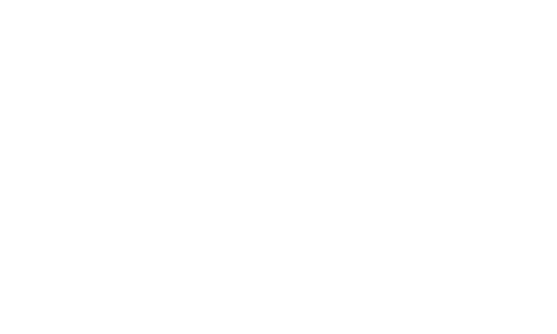 International Days