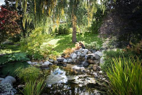 student sitting at pond in TRU horticulture gardens