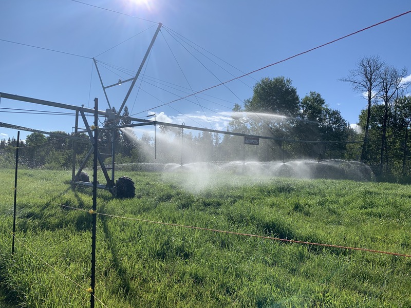 Wet and wild research: Using irrigation to increase soil carbon