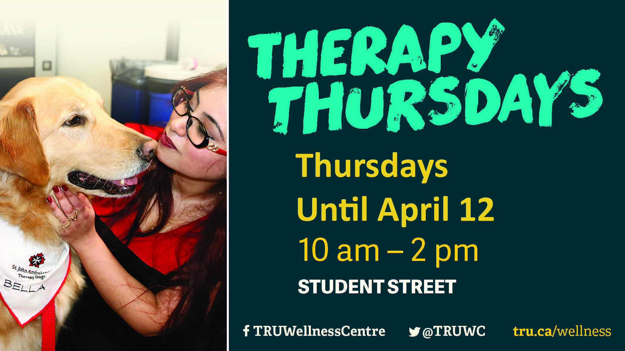 Therapy Dogs 2018