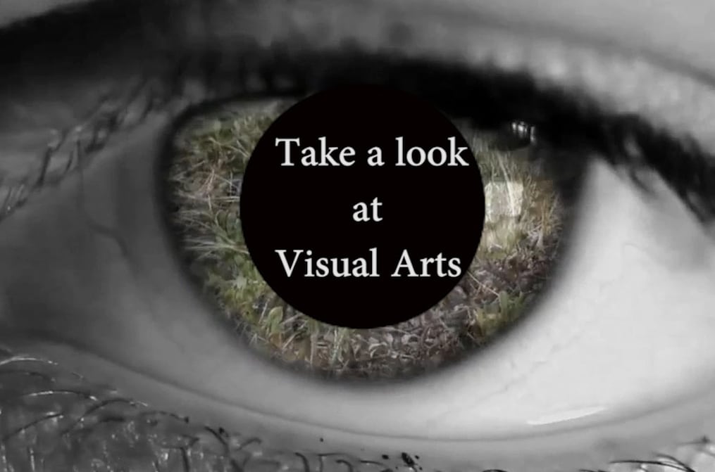 Visual Arts Odfferings