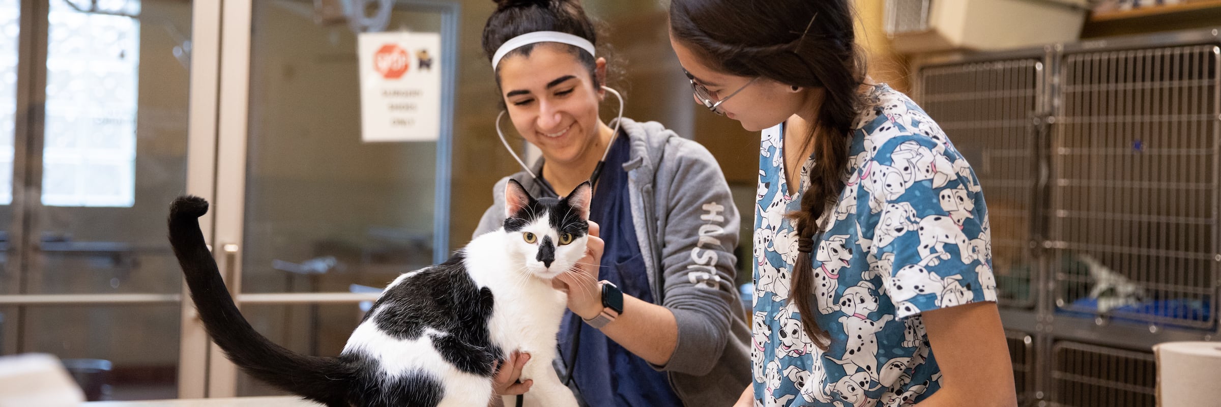 Animal Health Technology Distance Education Thompson Rivers University