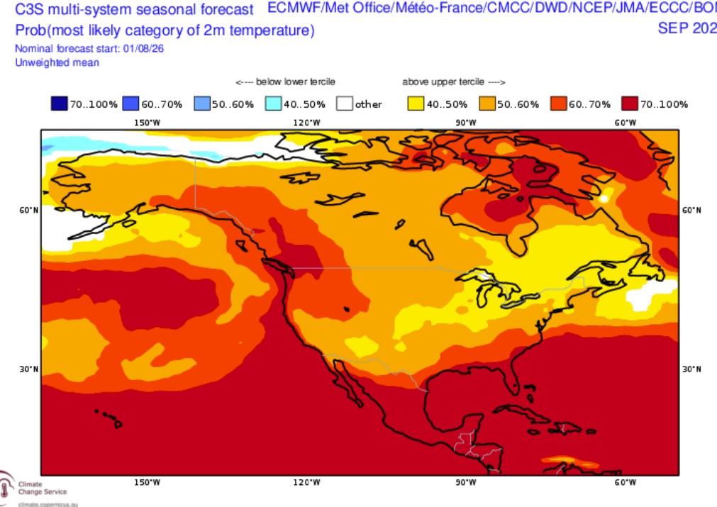 Figure 4. ECMWF temperature probability category for September 2026.