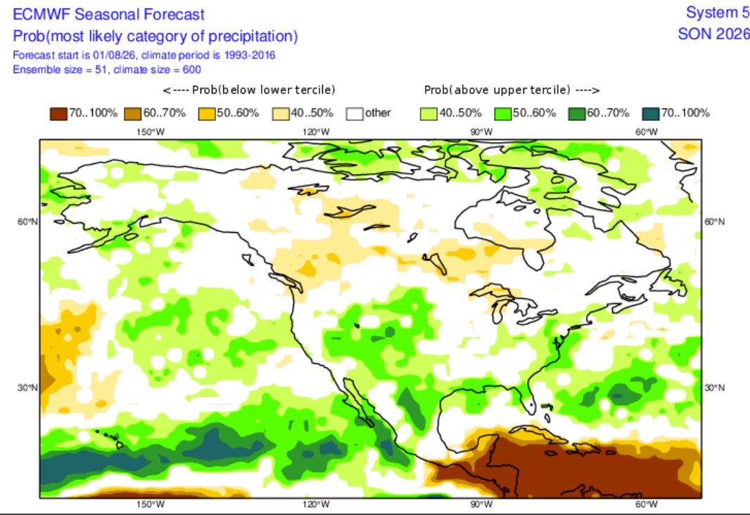 Figure 6. ECMWF precipitation probability category for September – November 2026.