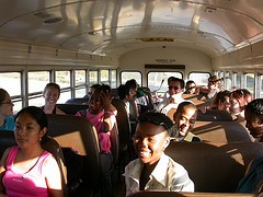bus