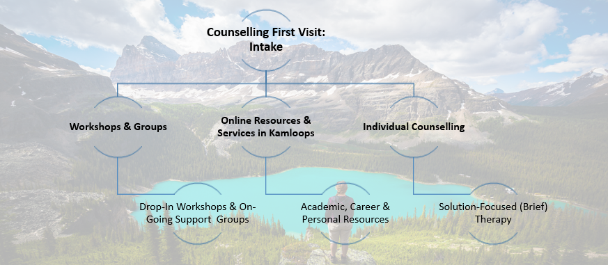 counselling intake v2