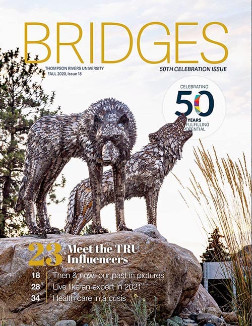 Bridges - Fall 2020