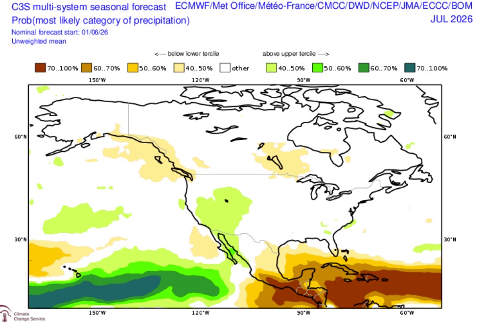 C3S precipitation forecast for July 2026.
