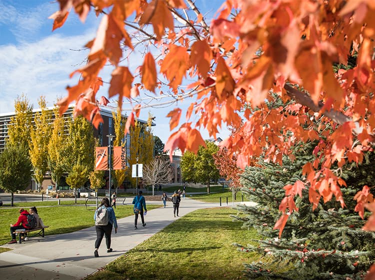 Student walking on campus during fall