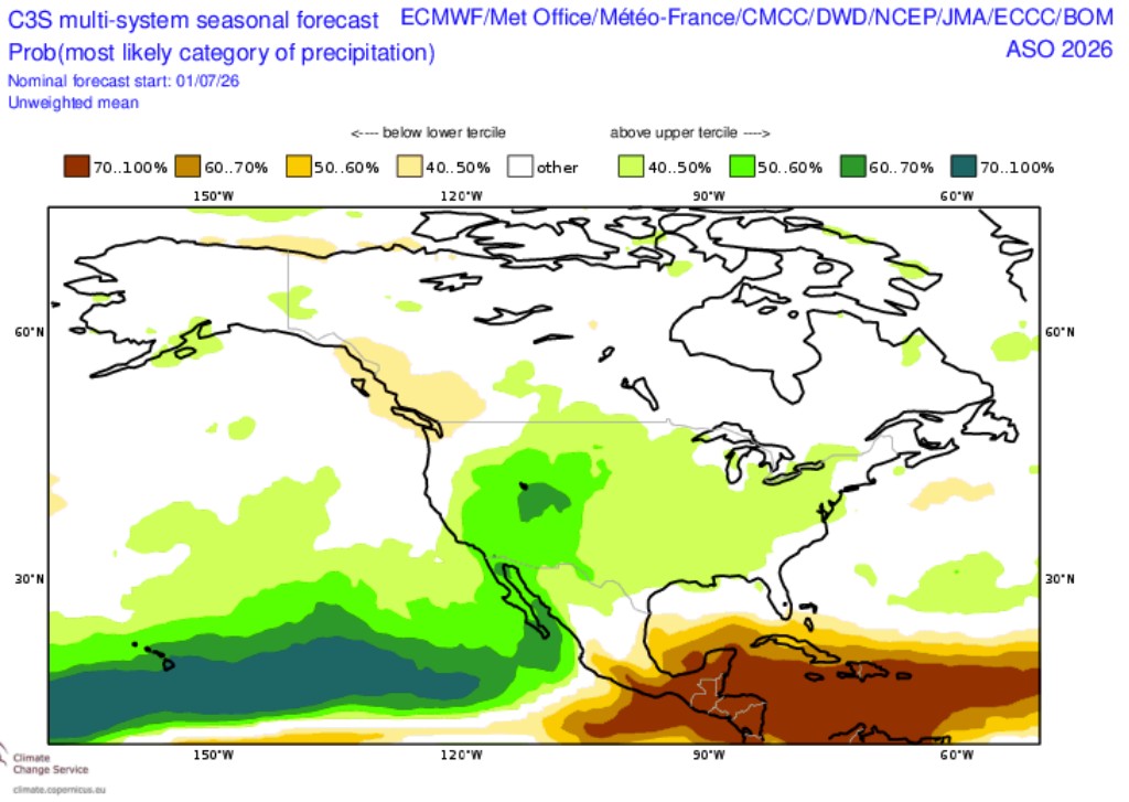 Figure 7. C3S precipitation forecast for August - October 2026.