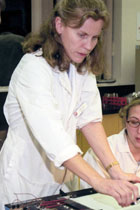 Karen Ross
