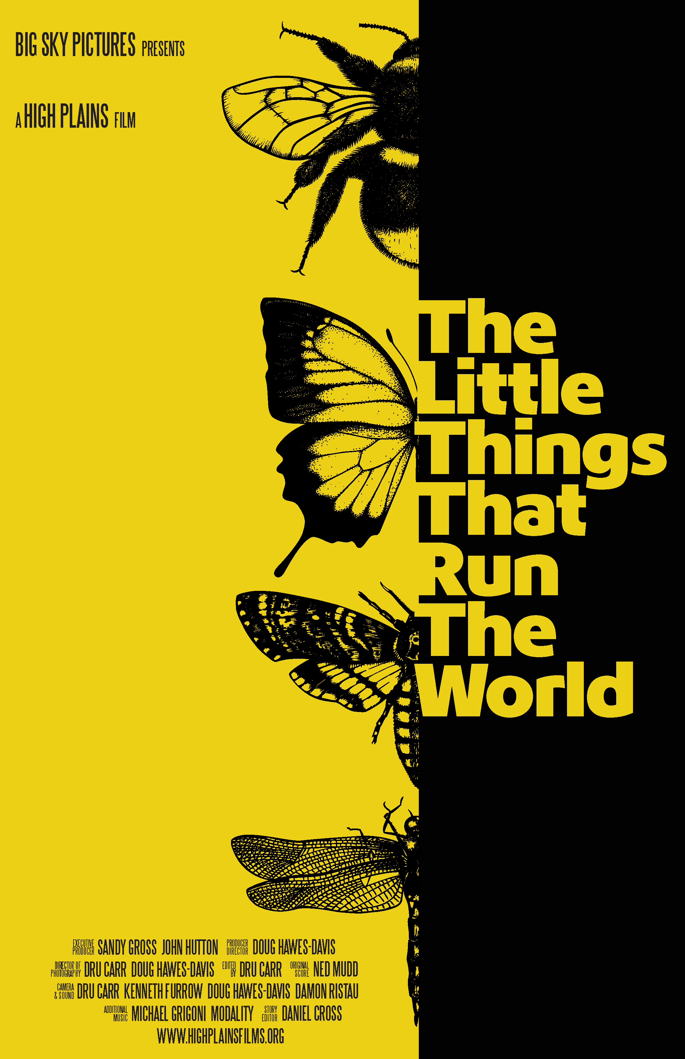 Little Things Movie Poster