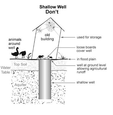 m2_f7_shlwl_dnt_r