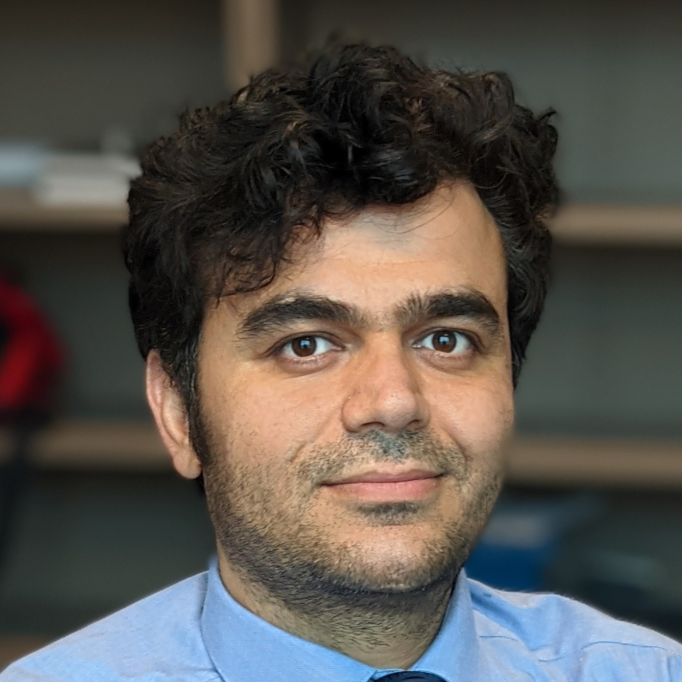 Sina Keshvadi